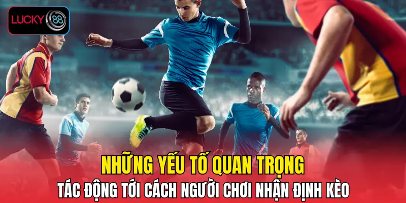 Những yếu tố quan trọng tác động tới cách người chơi nhận định kèo Những yếu tố quan trọng tác động tới cách người chơi nhận định kèo